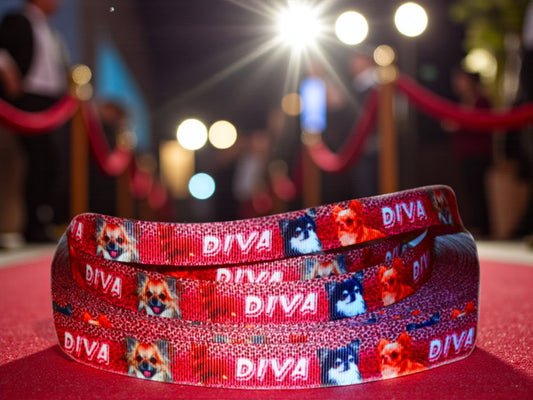 Exclusive Chihuahua Diva leotard with leopard print – 16mm