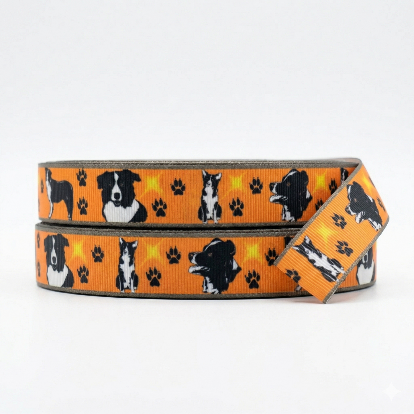 🐾 Exklusive Pfotenliebe: Border Collie Ripsband in Leuchtend Orange ✨ 22mm
