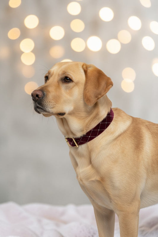 Luxuriöses Samtband mit Silber-Metallic – Weiches Einfassband in 30mm✨