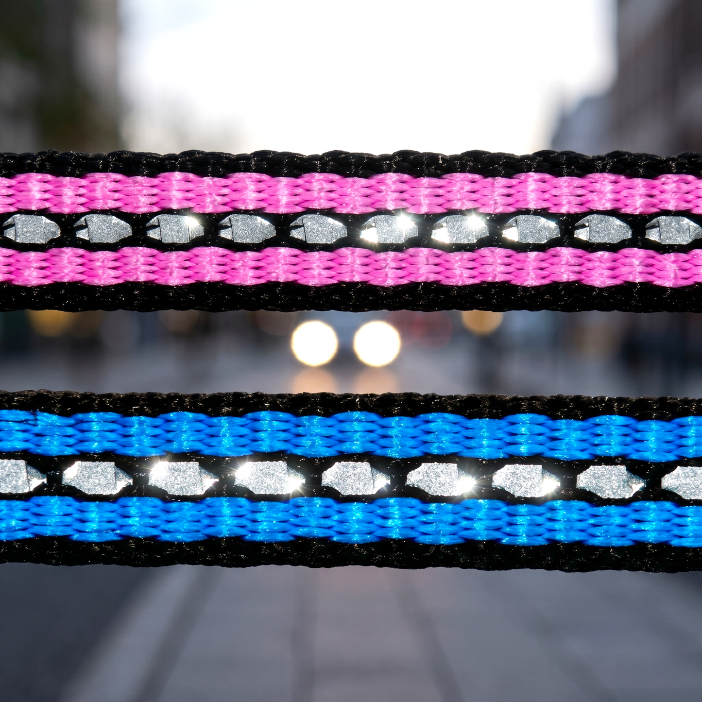 „Sichtbarkeit trifft Stil – Hochreflektierendes 10 mm Gurtband in Rosa & Blau für maximale Sicherheit“ 🌟 🐾 🛡️