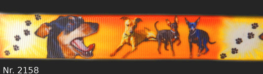 Exklusives Pinscher im Sonnenuntergang - Band mit Pfoten – 22mm