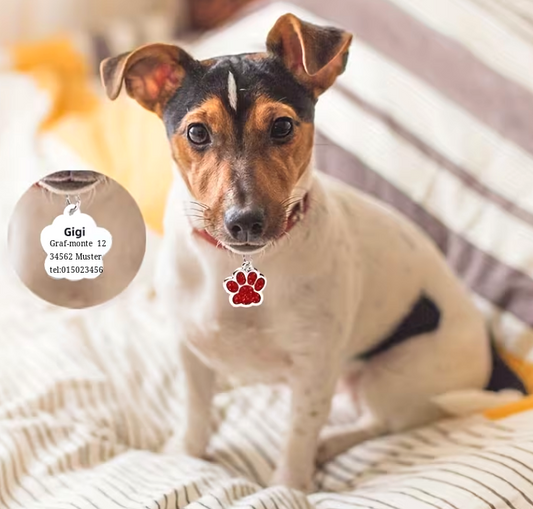 Glitzer-Pfotenanhänger – Ein funkelndes Highlight