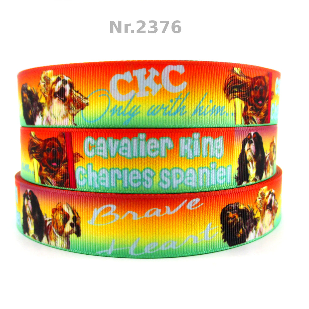 Cavalier King Charles - 22mm
