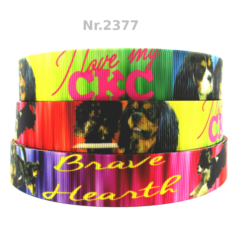 Cavalier King Charles - 22mm