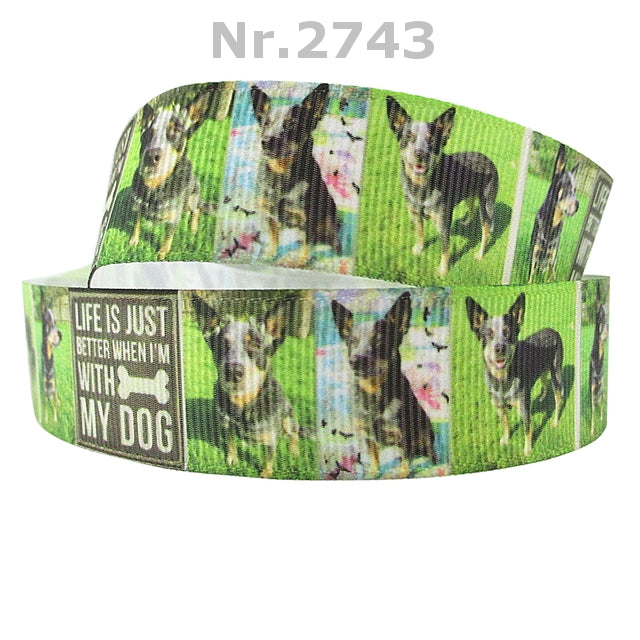 Das Leben ist besser - Australian Cattle Dog