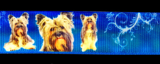 Exklusives Yorkshire Terrier -Band mit Ornamenten – 22mm