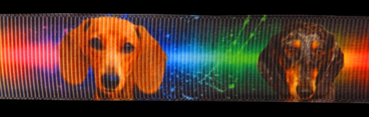 Exklusives Dackel Audiowellen -Band – 22mm