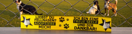 Exklusives Adoptiere mich Band – Für Tierschutz, Tierheime & Pflegestellen – 22mm