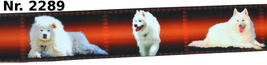 Exklusives Samojede mit Leuchten - Band – 38mm