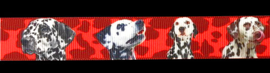 Exclusive Dalmatian Love Band – 22mm