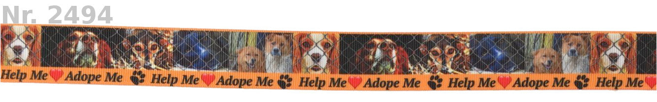 Adopt me!