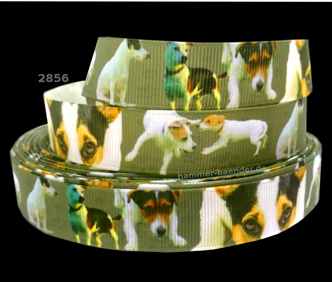 „Terrier Power – Exklusives Jack Russell Ripsband für kleine Abenteurer“ 19 mm