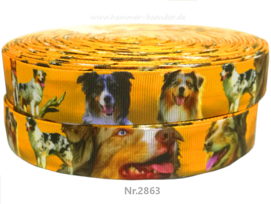 Exklusives Australian Shepherd -Band im Wüstenlook – 22mm