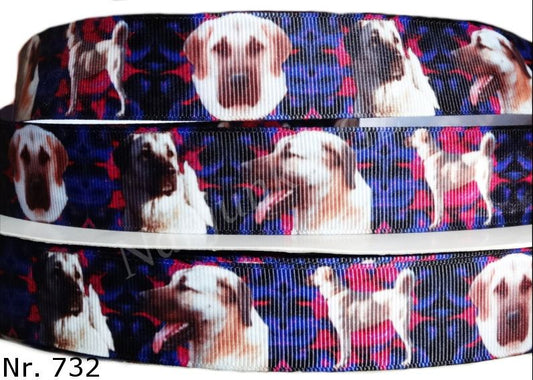 Exklusives Kangal - Band im abstrakten Blau - Lila - Pink – 25mm