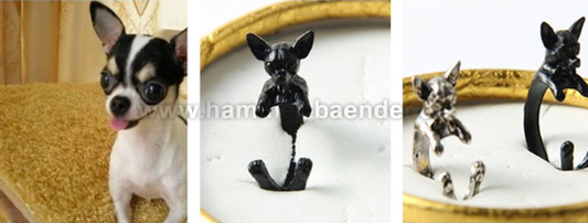Chihuahua Ringe | Anpassbar & Edel & Farben