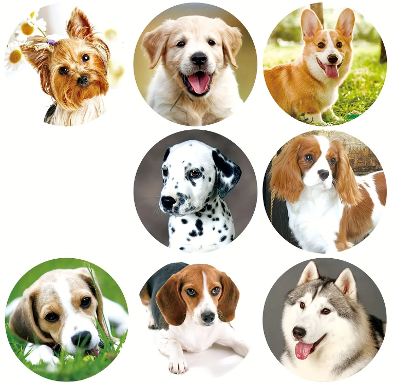 Hunde-Liebe zum Aufkleben – Realistische Foto-Sticker