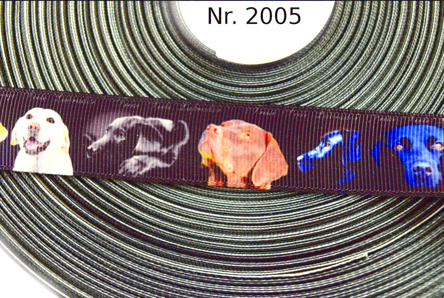 Exklusives  Labrador - Band – 22mm