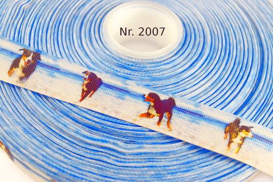 Exklusives  Appenzeller am Strand -Band – 22mm