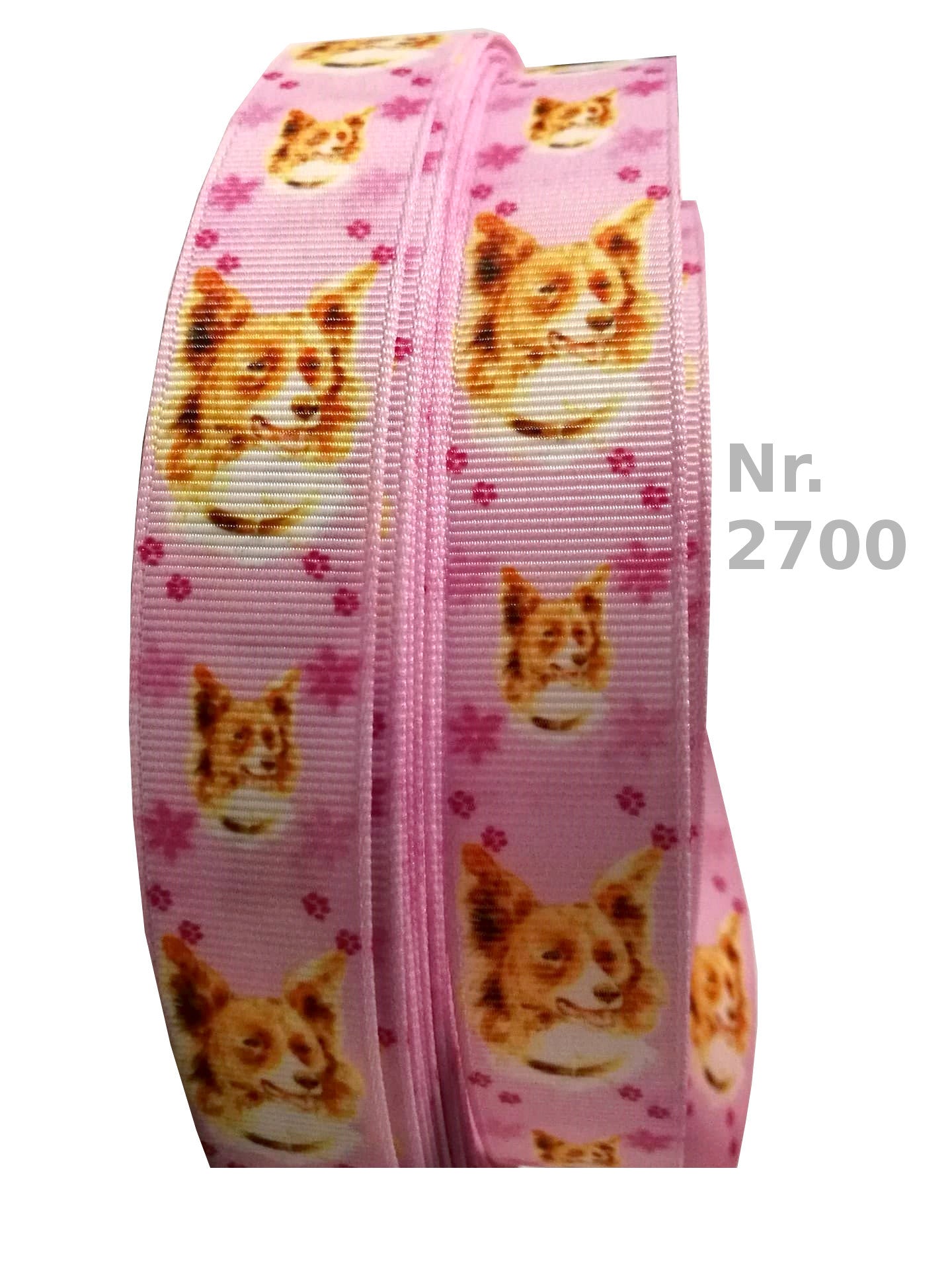 Border Collie - 22mm