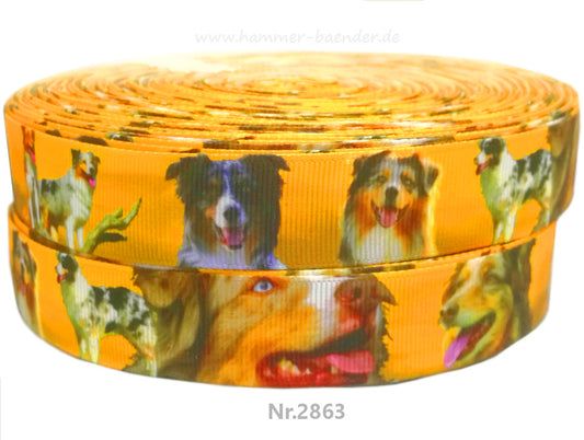 Exklusives  Australian Shepherd -Band im Wüstenlook – 22mm