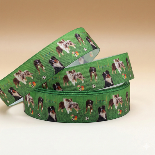 Exklusives Australian Shepherd / Border Collie Agility Band – 25mm