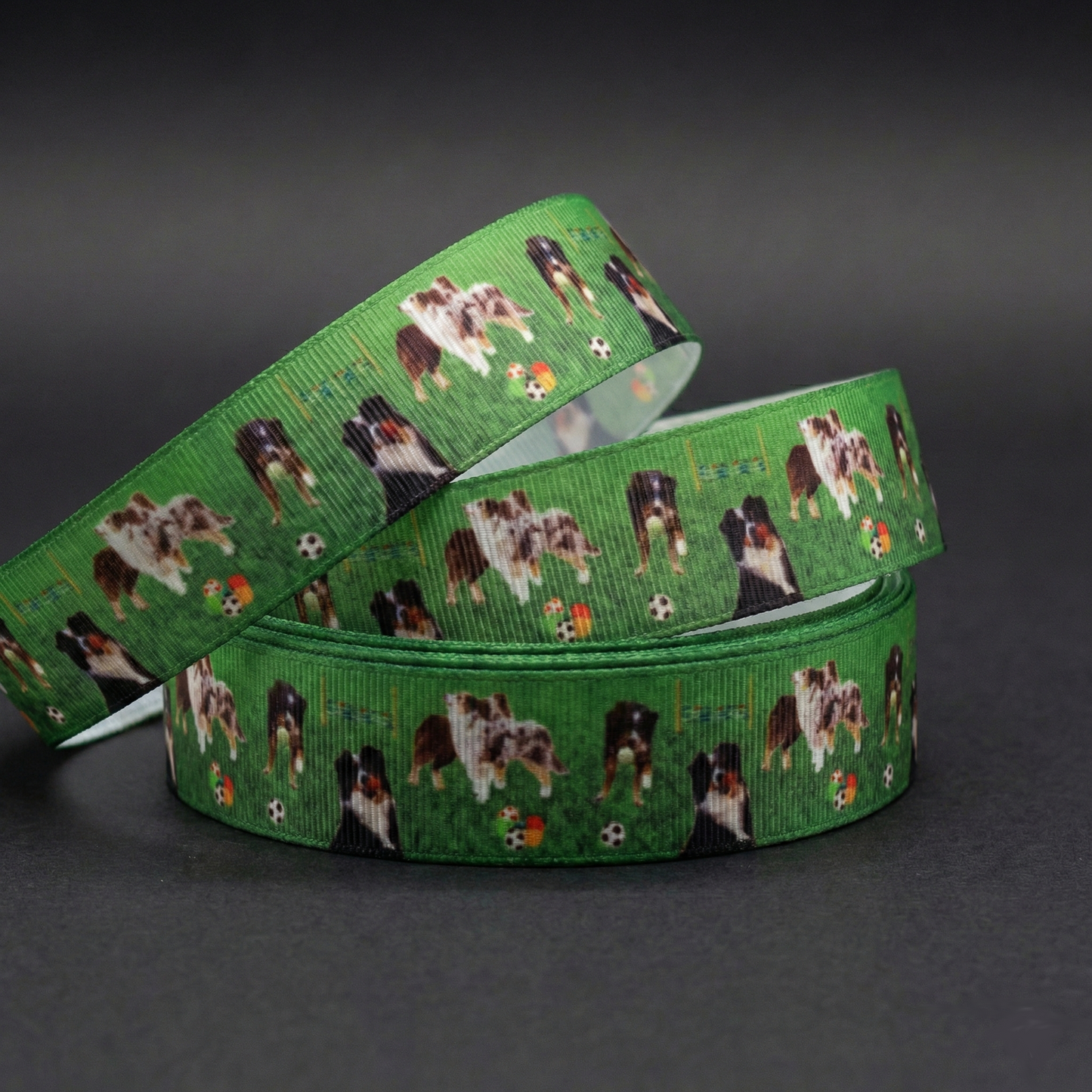 Exklusives Australian Shepherd / Border Collie Agility Band – 25mm