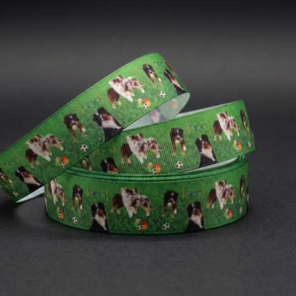 Exklusives Australian Shepherd / Border Collie Agility Band – 25mm