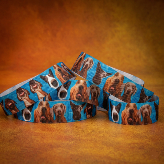 Exklusives  Poolparty - Hunde - Band mit Wasser - Hintergrund – 25mm