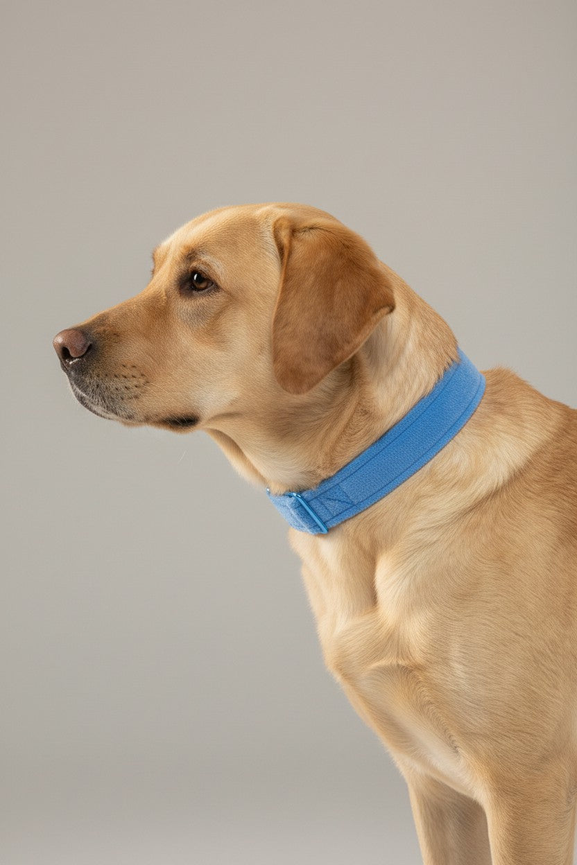 ✨ Weiches Velours- & Plüsch-Stoffband mit komfortabler Rückfalzung ✨30mm