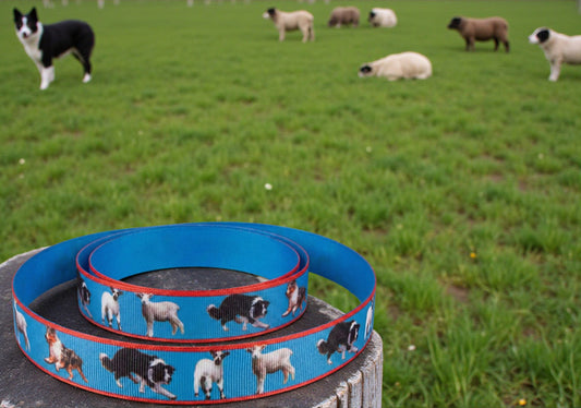 Exklusives  Hütehund -Band mit Border Collies & Australian Shepherds – 22mm