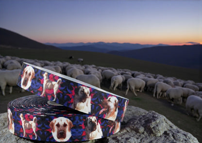 Exklusives  Kangal - Band im abstrakten Blau - Lila - Pink – 25mm