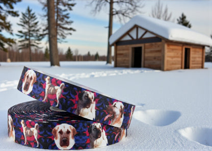 Exklusives  Kangal - Band im abstrakten Blau - Lila - Pink – 25mm