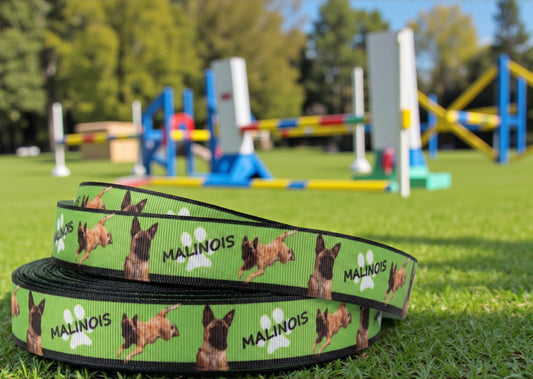 Exklusives  Malinois - Band mit Pfotenabdrücken – 22mm