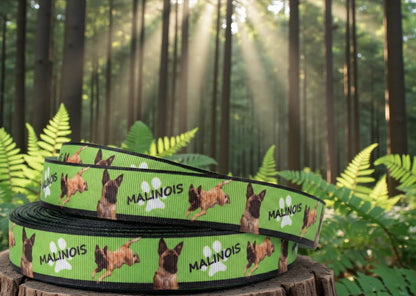 Exklusives  Malinois - Band mit Pfotenabdrücken – 22mm