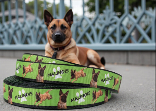Exklusives  Malinois - Band mit Pfotenabdrücken – 22mm
