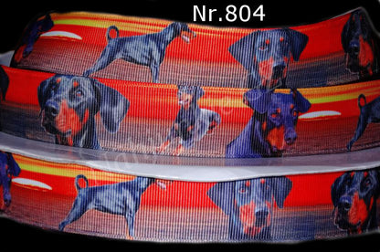 Exklusives  Dobermann -Band mit Sonnenuntergang am Meer – 25mm