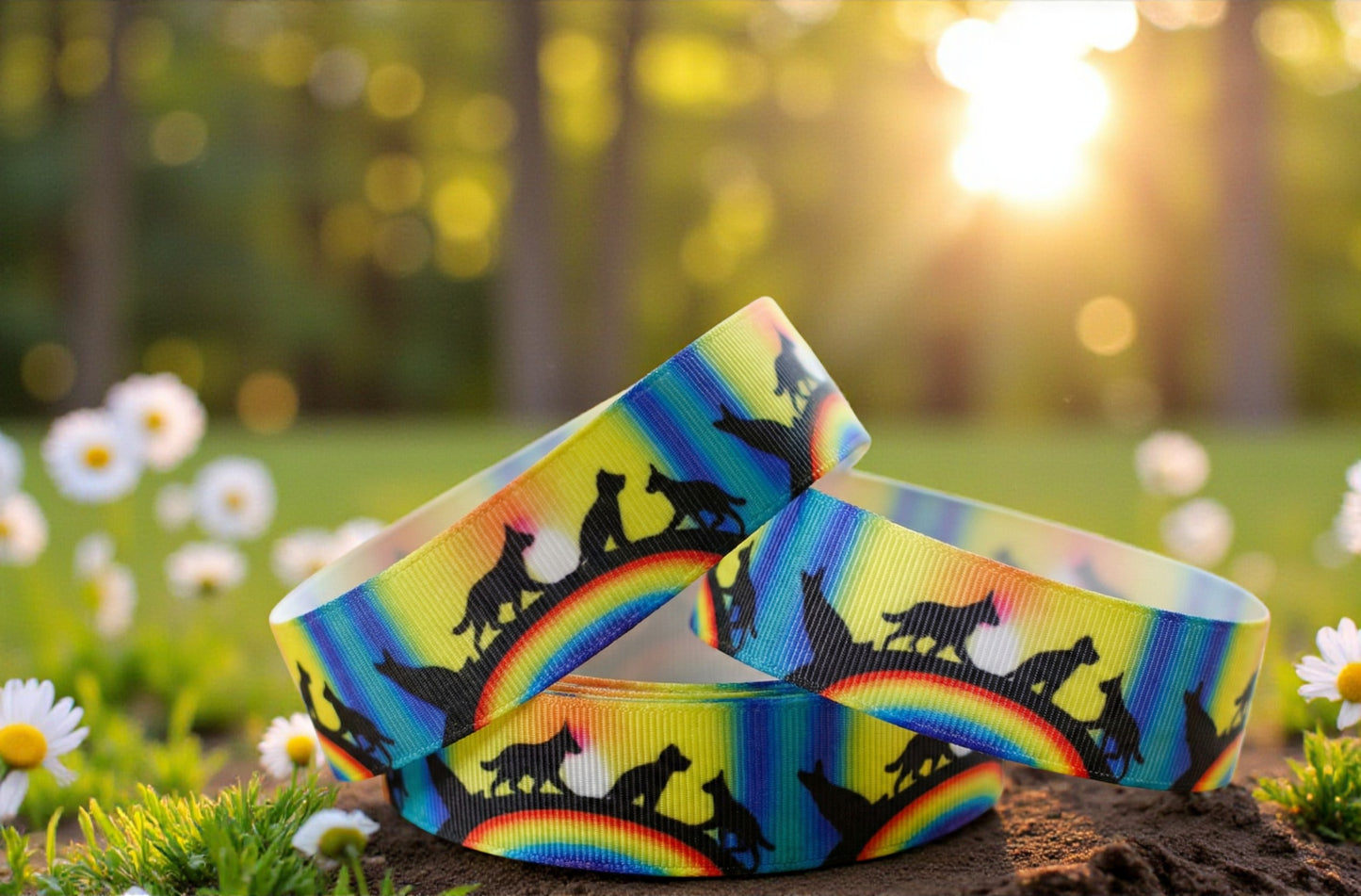 Exklusives  Regenbogenbrücke - Band – 22mm