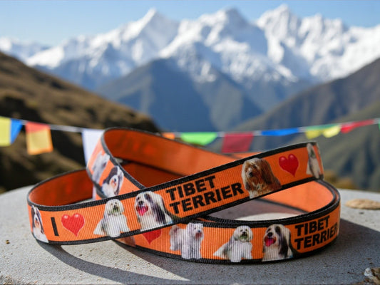 Exclusive I Love Tibetan Terrier - Ribbon – 16mm