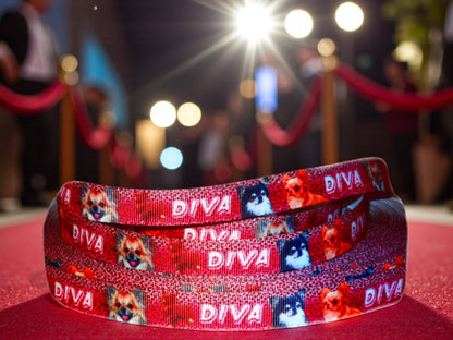 Exclusive Chihuahua Diva leotard with leopard print – 16mm