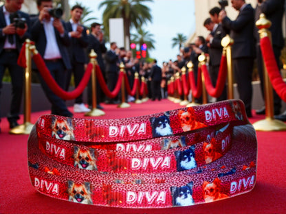 Exclusive Chihuahua Diva leotard with leopard print – 16mm