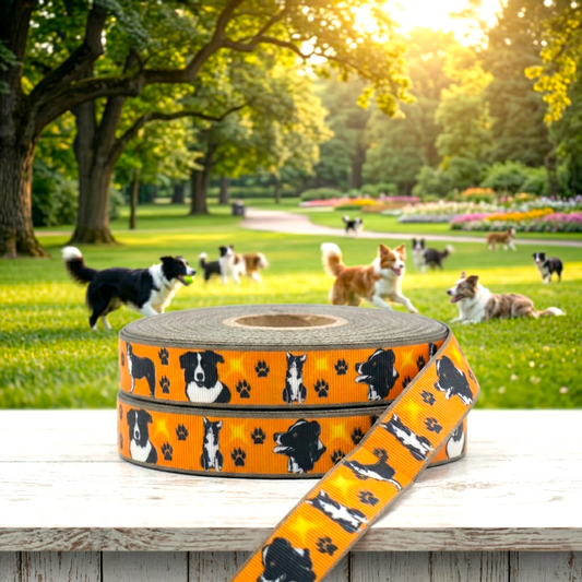 🐾 Exklusive Pfotenliebe: Border Collie Ripsband in Leuchtend Orange ✨ 22mm