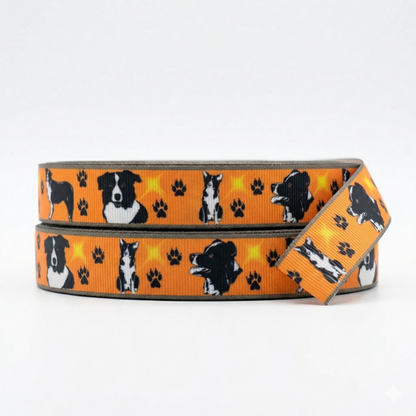 🐾 Exklusive Pfotenliebe: Border Collie Ripsband in Leuchtend Orange ✨ 22mm