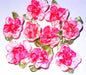 Blume Pink/Rosa