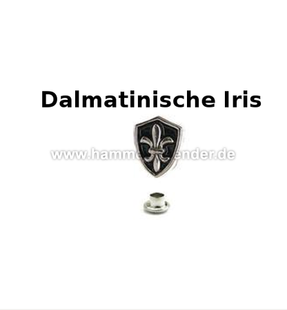 Zierniete Lilie (Heraldik) Stilisiert