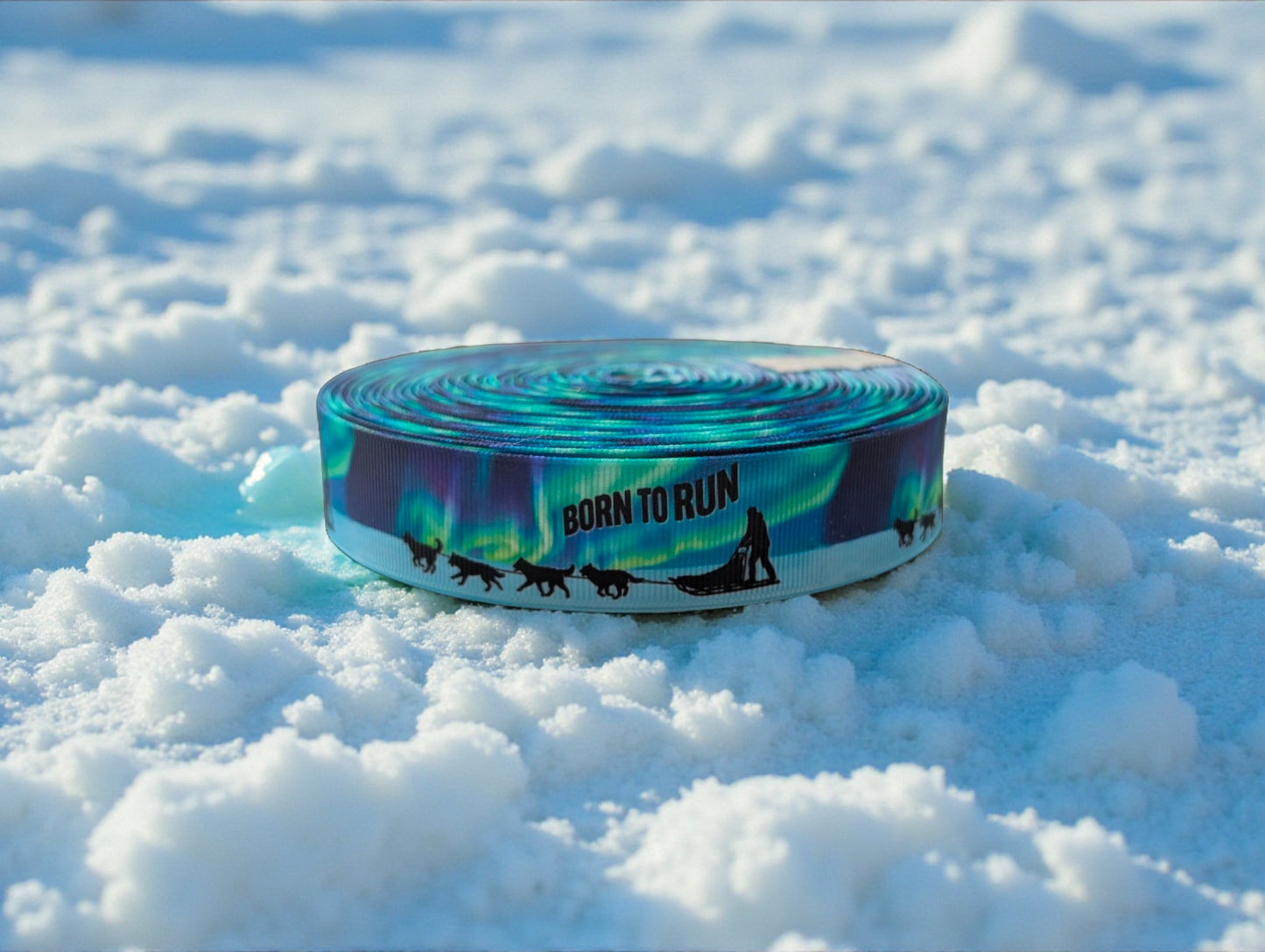 „Born to Run“ – Schlittenhunde unter Nordlichtern 25mm (Eigenproduktion)