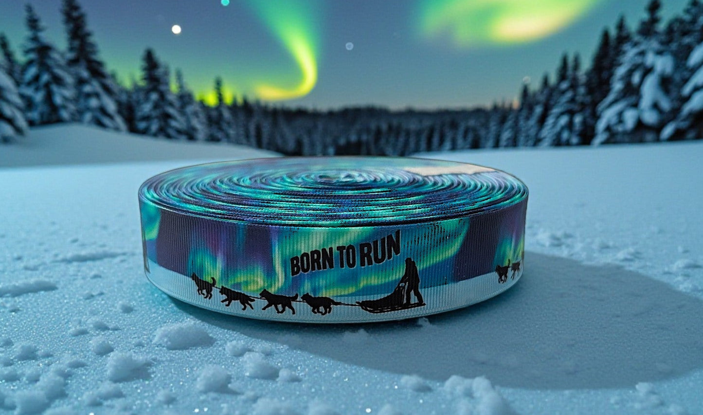 „Born to Run“ – Schlittenhunde unter Nordlichtern 25mm (Eigenproduktion)