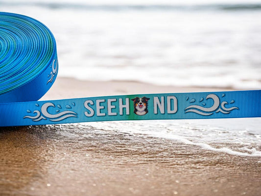 „Seehund“ – Eine Hommage an echte Wasserratten 19mm (Eigenproduktion)