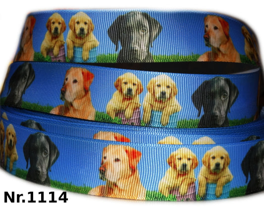 Golden Retriever - 22mm