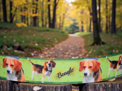 Exklusives  Beagle -Band mit Blumen – 22mm