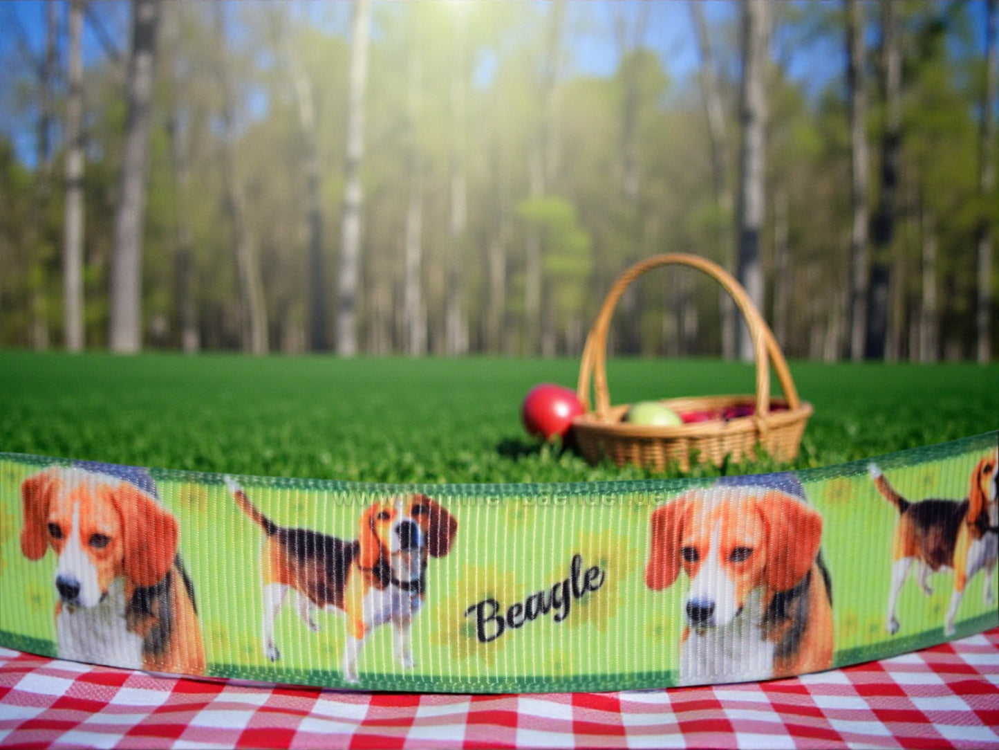 Exklusives  Beagle -Band mit Blumen – 22mm